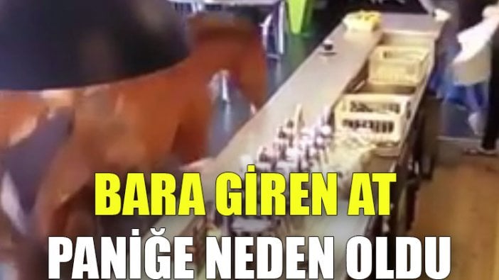 Bara giren at paniğe neden oldu