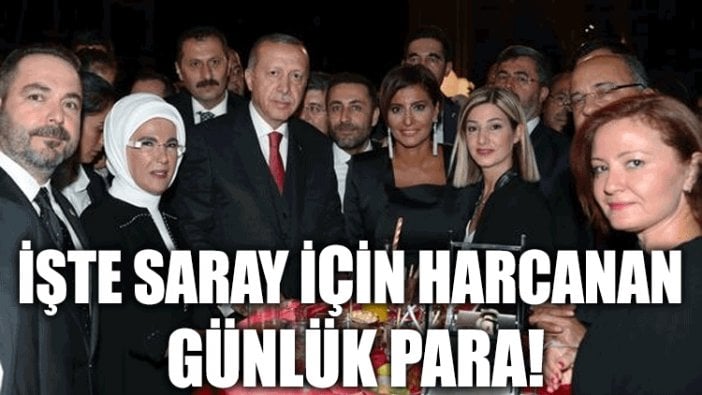 İşte Saray için harcanan günlük para!