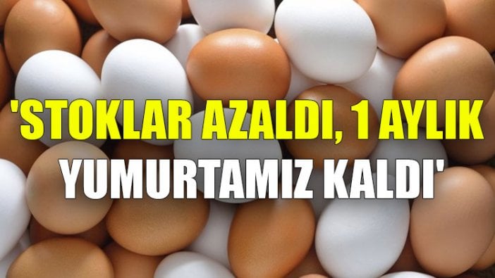 'Stoklar azaldı, 1 aylık yumurtamız kaldı'