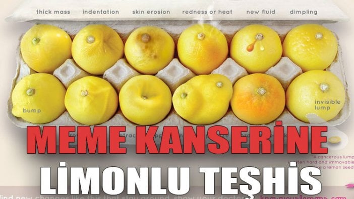 Meme kanserine limonlu teşhis