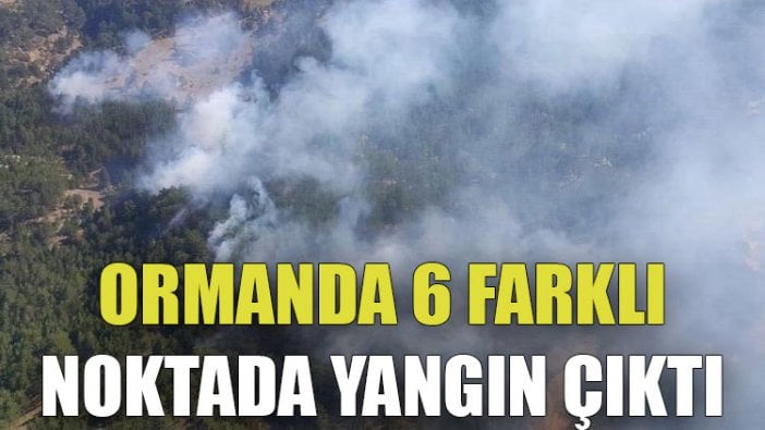 Ormanda 6 farklı noktada yangın çıktı