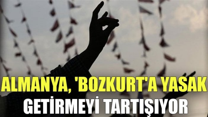 Almanya, 'bozkurt'a yasak getirmeyi tartışıyor