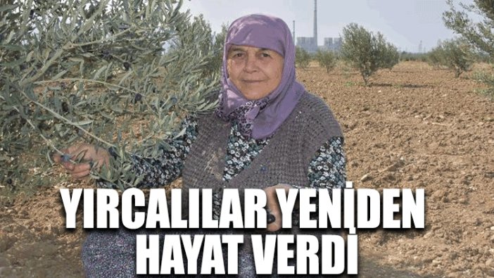 Yırcalılar yeniden hayat verdi