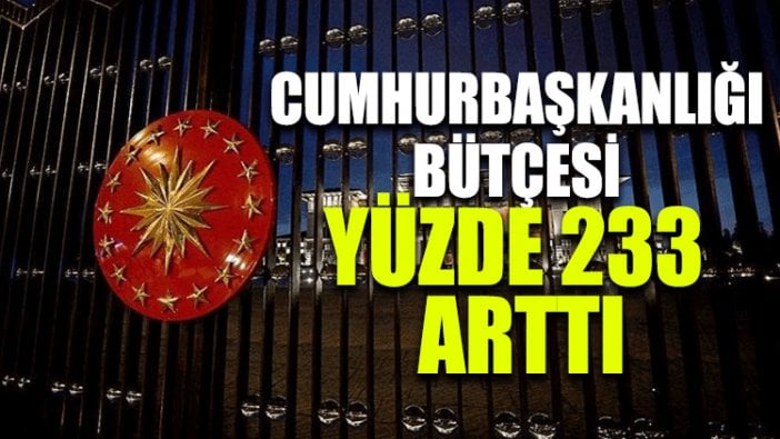 Cumhurbaşkanlığı bütçesi yüzde 233 arttı