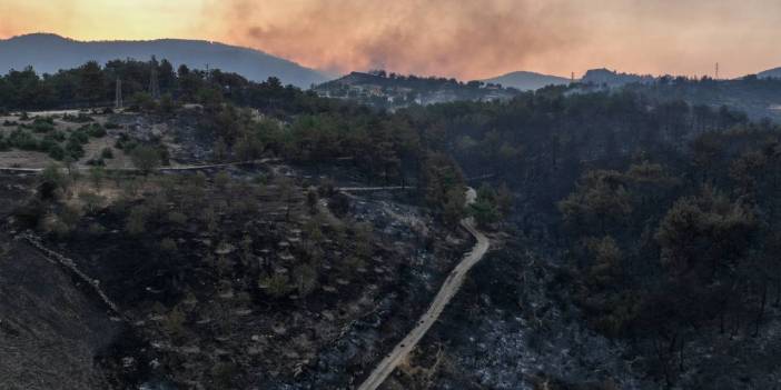 Çanakkale Yanıyor... Gün Ağardı Acı Tablo Göründü
