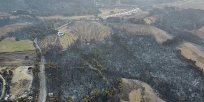 Son dakika... Çanakkale'deki Orman Yangını Kontrol Altına Alındı