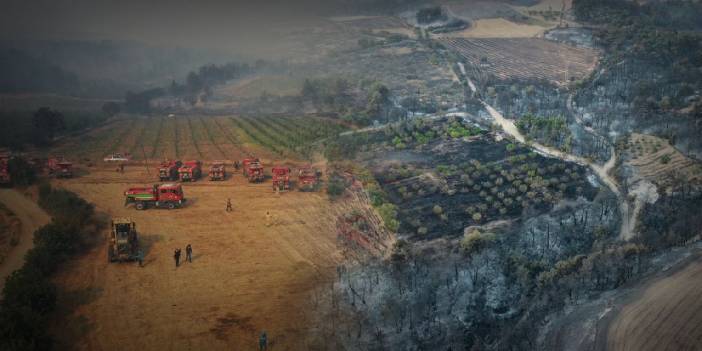 Son dakika... Çanakkale'deki Orman Yangını Kontrol Altına Alındı