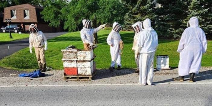 Kaza Sonrası 5 Milyon Arı Etrafa Saçıldı! Arı Toplama Seferberliği...