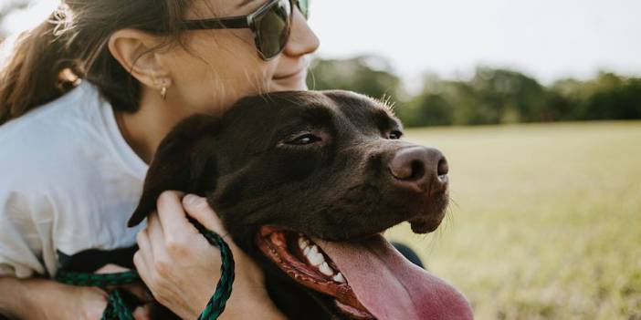 Köpek Beyni Kadınların Sesine Daha Duyarlı