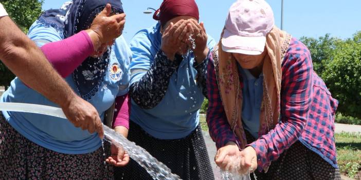 Uzman İsimden Sıcaklık Uyarısı: Komaya Götürüyor