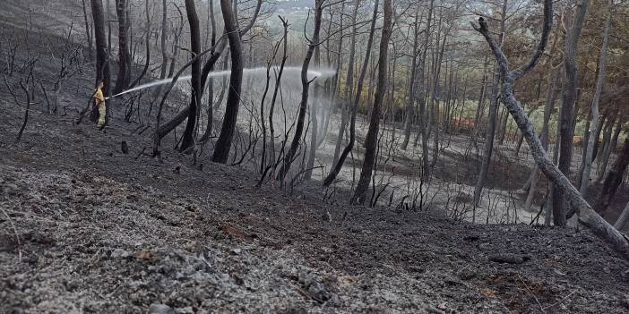 Bursa’daki Orman Yangını İkinci Gününde Kontrol Altına Alındı