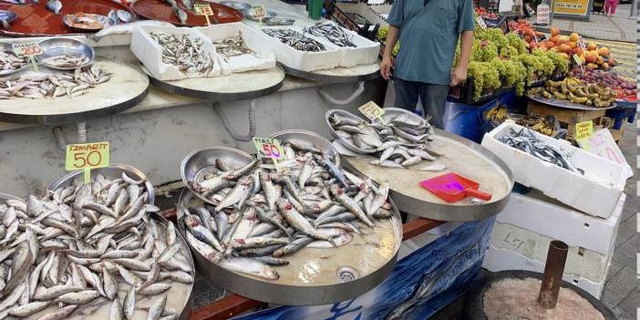 Sezonun İlk İstavrit ile Hamsileri, 100 Liradan Satışa Çıktı