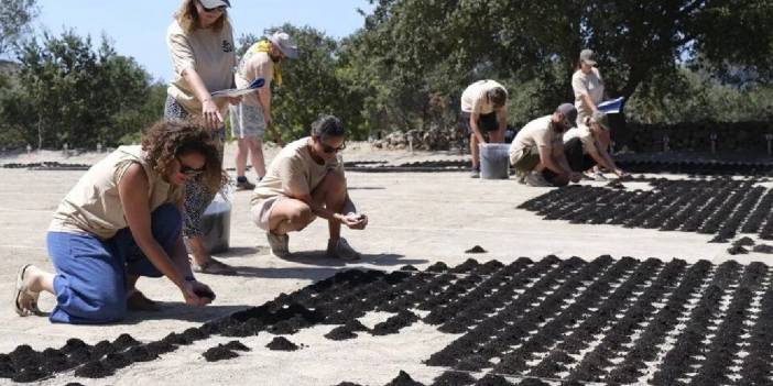 Aşık Veysel'in Bodrum'da Dev Portresi Yapıldı