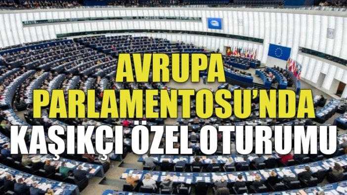 Avrupa Parlamentosu'nda Kaşıkçı özel oturumu