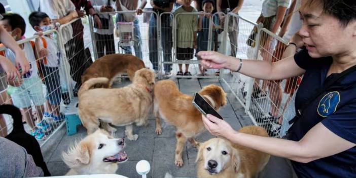 Devlet başkanı adayından doğum oranını yükseltmek için ilginç öneri: Bir çocuk yapana bir köpek hediye