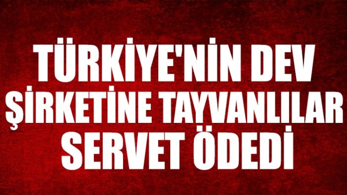 Türkiye'nin dev şirketine Tayvanlılar servet ödedi