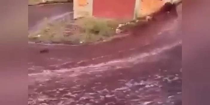 Şarap tankları patladı, kasabanın sokaklarını şarap kapladı