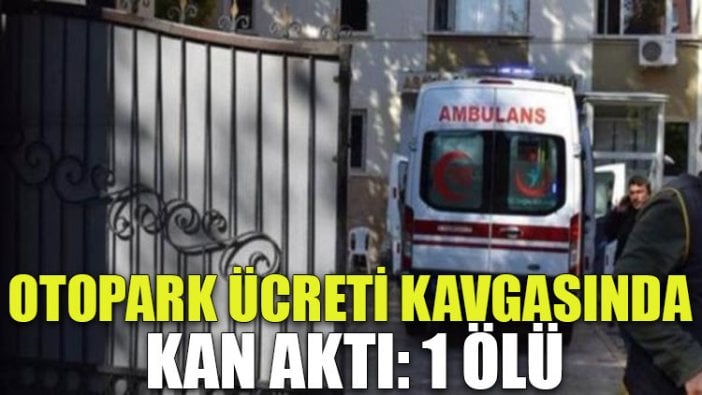 Otopark ücreti kavgasında kan aktı: 1 ölü