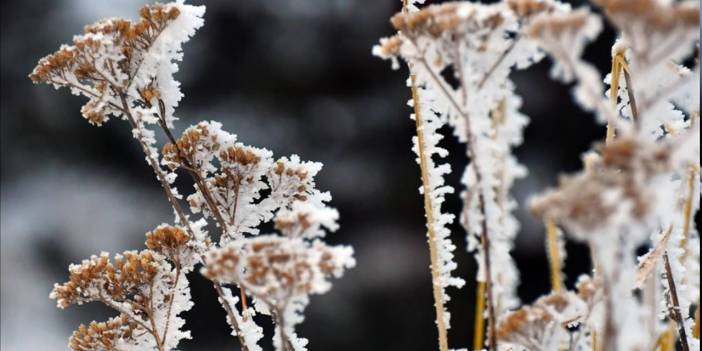 Ardahan Buz Tuttu! Hava Sıcaklığı -3 Dereceyi Gördü