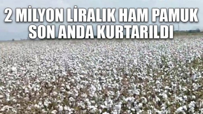 2 milyon liralık ham pamuk son anda kurtarıldı