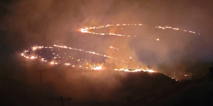 Malatya'da Orman Yangını