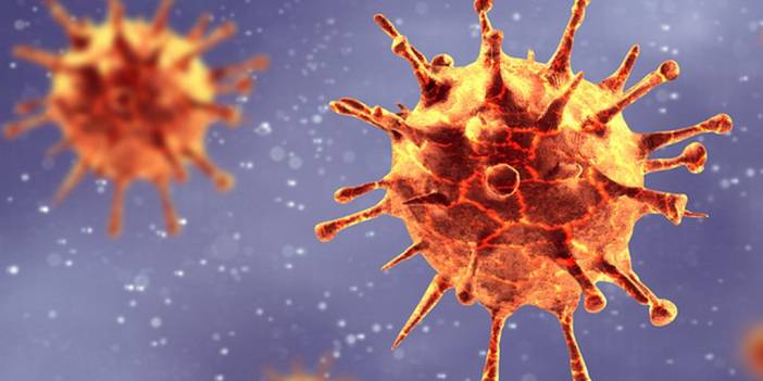 Yeni Keşfedilen Bakteri Yiyen Virüs Nedir?