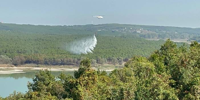 Çatalca'da Yangın