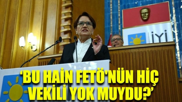 Meral Akşener: Bu hain FETÖ'nün hiç vekili yok muydu?