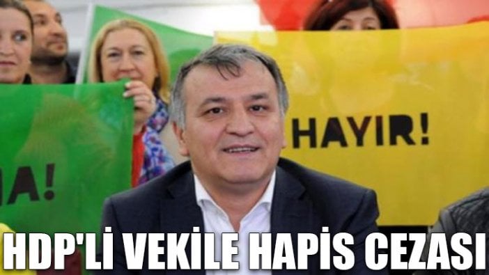 HDP'li vekile hapis cezası