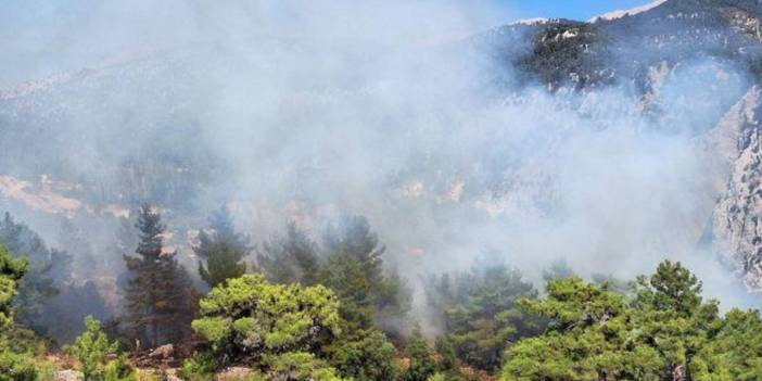 Antalya'da Kaş ve Manavgat'ta yangın