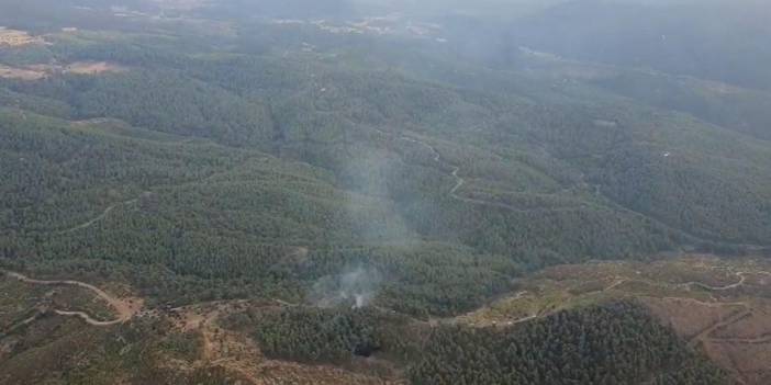 Manisa'da Orman Yangını