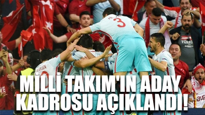 Milli Takım'ın aday kadrosu açıklandı!