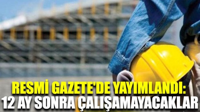 Resmi Gazete'de yayımlandı: 12 ay sonra çalışamayacaklar