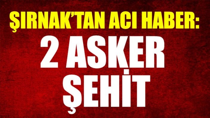 Şırnak'tan acı haber: 2 asker şehit oldu