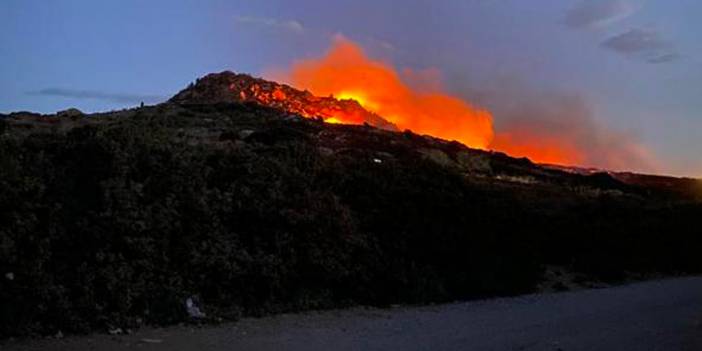 Bodrum’da Orman Yangını