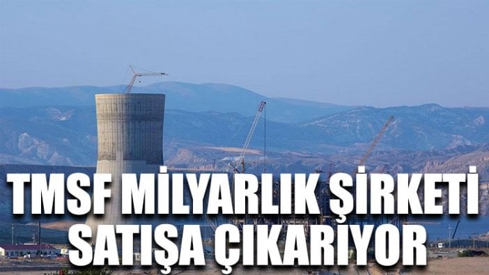 TMSF milyarlık şirketi satışa çıkarıyor