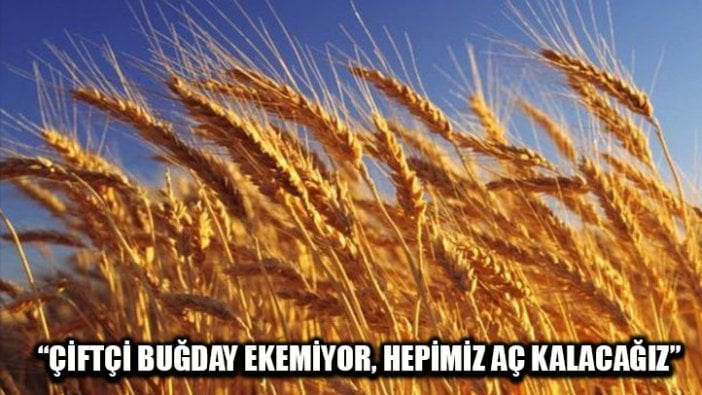 "Çiftçi buğday ekemiyor, hepimiz aç kalacağız"