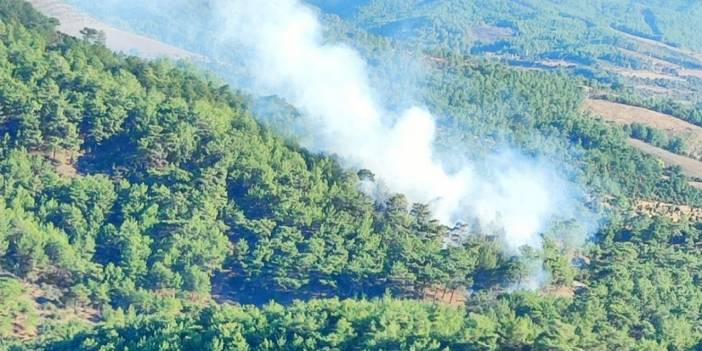 Çanakkale'de Orman Yangını