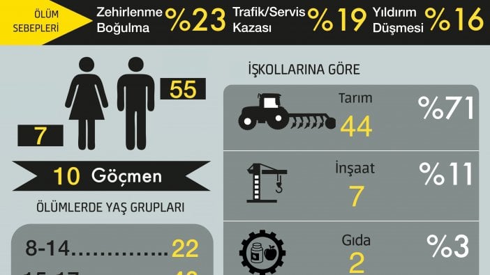 Yılın ilk on ayında en az 62 çocuk işçi yaşamını yitirdi