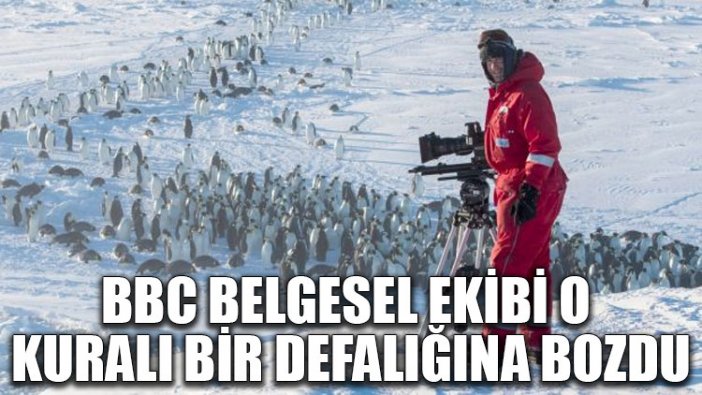 BBC belgesel ekibi o kuralı bir defalığına bozdu