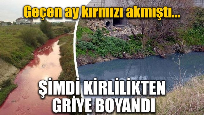 Çorlu Deresi, kirlilikten griye boyandı