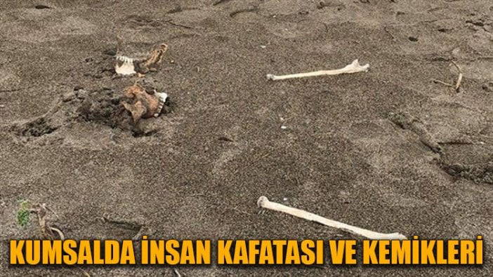 Kumsalda insan kafatası ve kemikleri