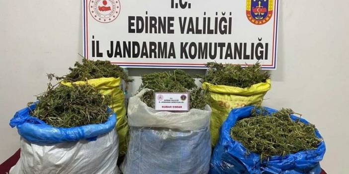 Kapıkule Sınır Kapısı'nda Tır Dorsesine Saklanmış Kilolarca Esrar Yakalandı