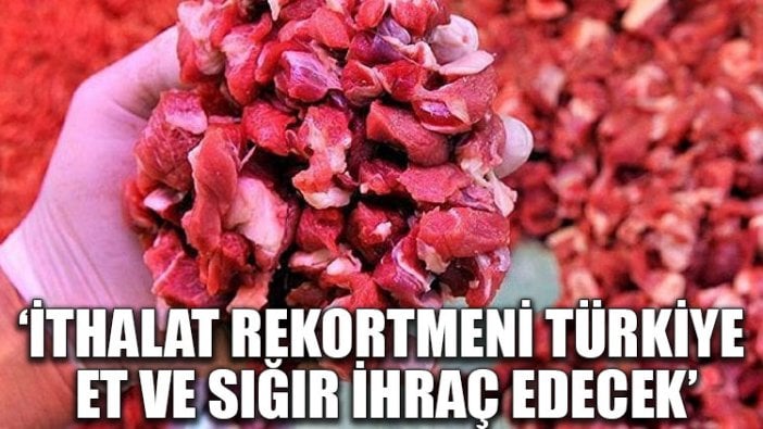 'İthalat rekortmeni Türkiye, et ve sığır ihraç edecek'