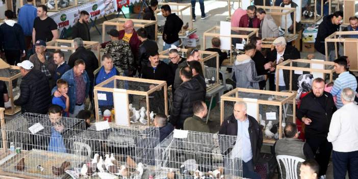 O İlde Tavuk Fiyatları Dudak Uçuklattı!