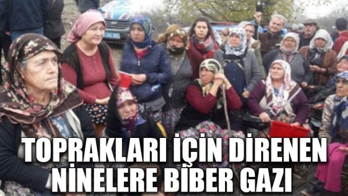 Toprakları için direnen ninelere biber gazlı müdahale