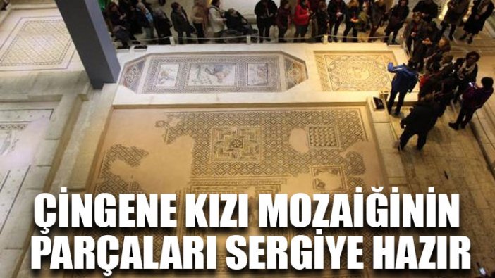 Çingene Kızı mozaiğinin parçaları sergiye hazır