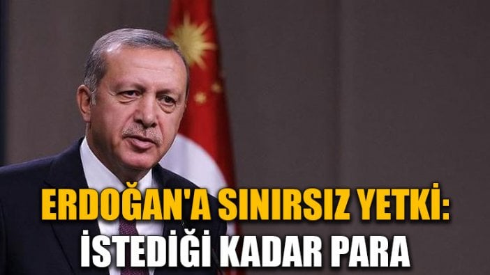 Erdoğan'a sınırsız yetki: İstediği kadar para aktarabilecek