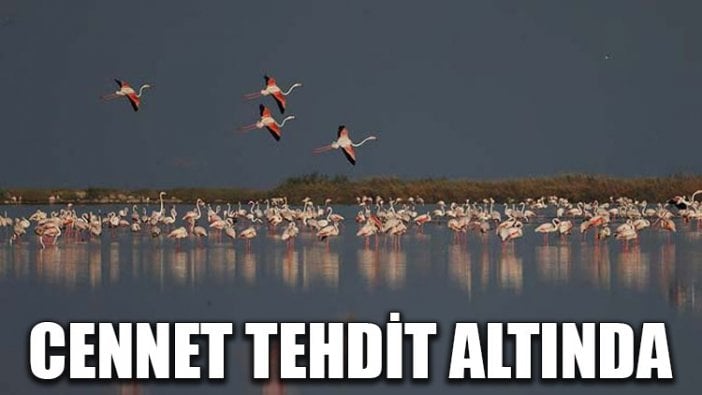 Cennet tehdit altında