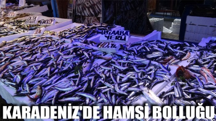 Karadeniz'de hamsi bolluğu